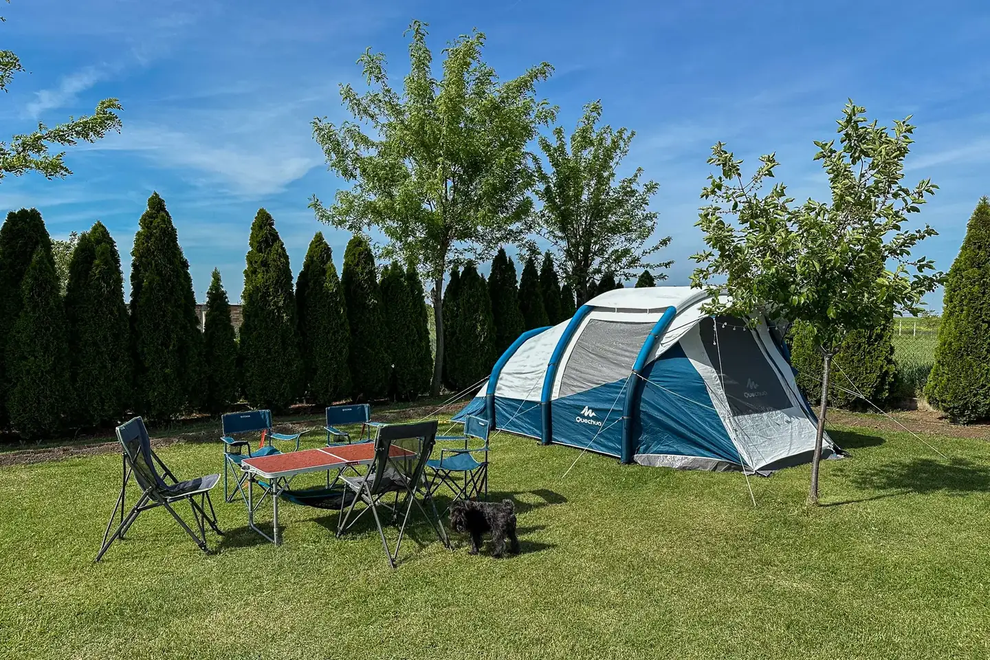 Tent pitch green lawn